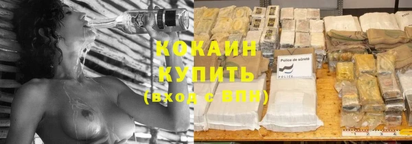 твердый Абаза