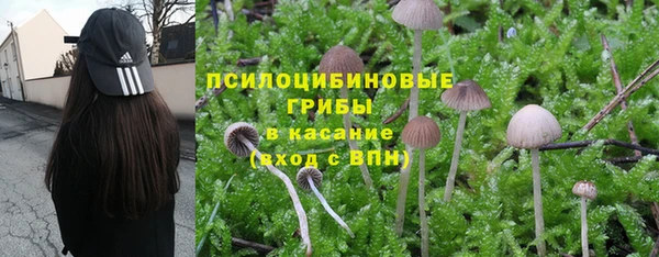ГАЛЛЮЦИНОГЕННЫЕ ГРИБЫ Абдулино