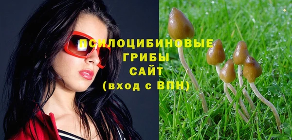 a pvp Абинск